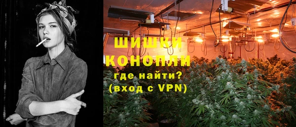 сатива Краснослободск